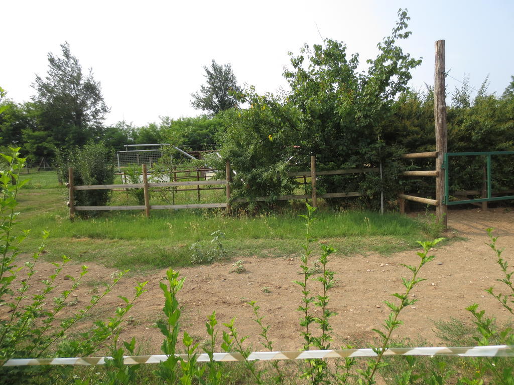 Agriturismo Parco Del Chiese Bedizzol Eksteriør bilde
