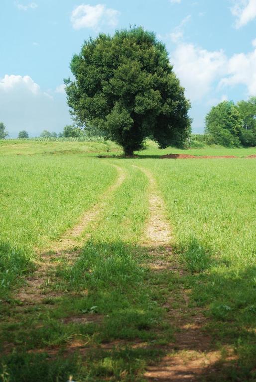 Agriturismo Parco Del Chiese Bedizzol Eksteriør bilde