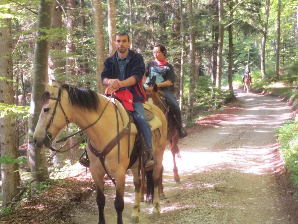 Agriturismo Parco Del Chiese Bedizzol Eksteriør bilde