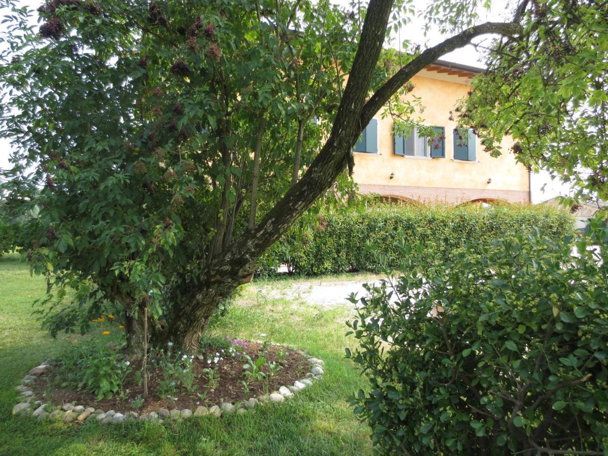 Agriturismo Parco Del Chiese Bedizzol Eksteriør bilde